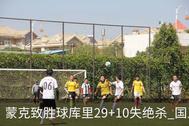 蒙克致胜球库里29+10失绝杀 国王24分逆转勇士